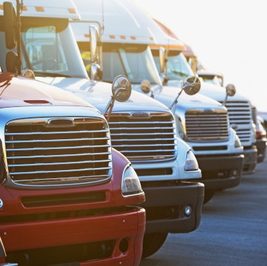 Find Trucks